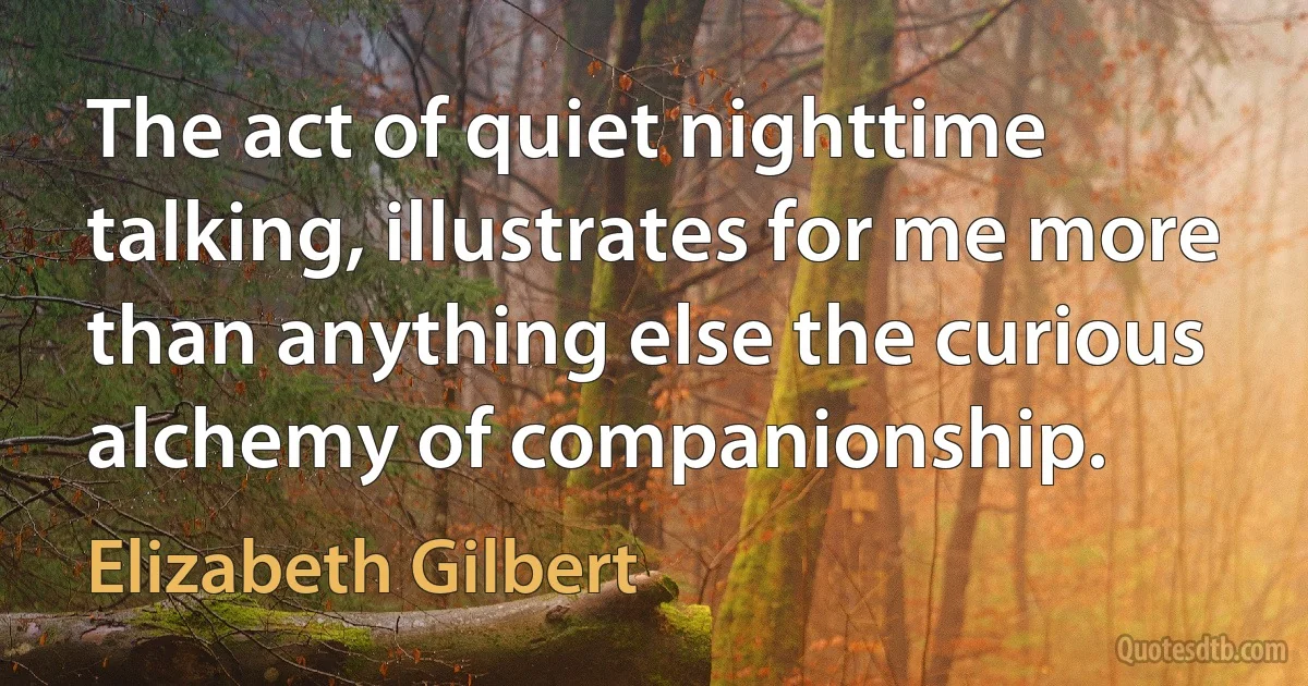 The act of quiet nighttime talking, illustrates for me more than anything else the curious alchemy of companionship. (Elizabeth Gilbert)