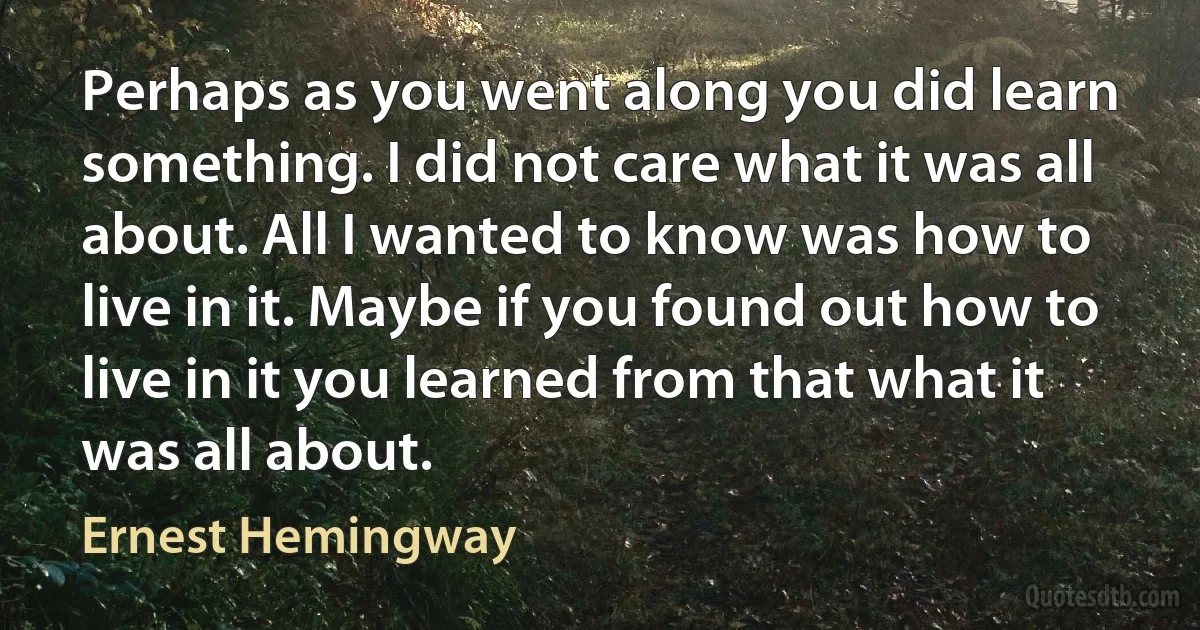 Perhaps as you went along you did learn something. I did not care what it was all about. All I wanted to know was how to live in it. Maybe if you found out how to live in it you learned from that what it was all about. (Ernest Hemingway)