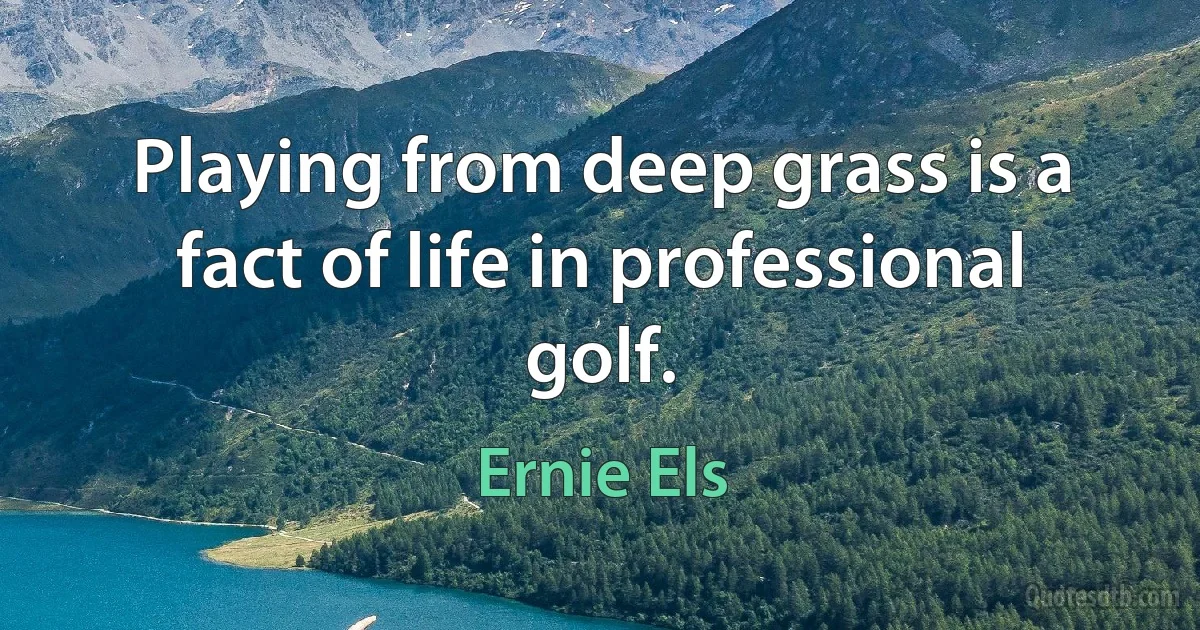 Playing from deep grass is a fact of life in professional golf. (Ernie Els)