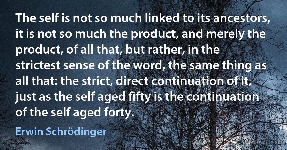 The self is not so much linked to its ancestors, it is not so much the product, and merely the product, of all that, but rather, in the strictest sense of the word, the same thing as all that: the strict, direct continuation of it, just as the self aged fifty is the continuation of the self aged forty. (Erwin Schrödinger)