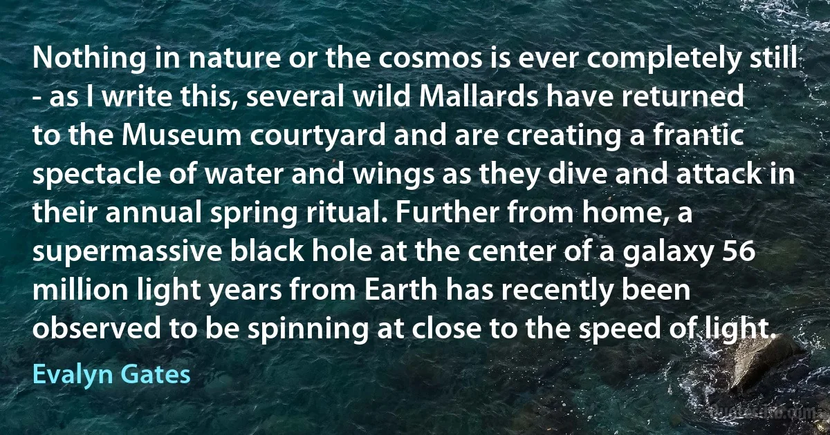 Nothing in nature or the cosmos is ever completely still - as I write this, several wild Mallards have returned to the Museum courtyard and are creating a frantic spectacle of water and wings as they dive and attack in their annual spring ritual. Further from home, a supermassive black hole at the center of a galaxy 56 million light years from Earth has recently been observed to be spinning at close to the speed of light. (Evalyn Gates)