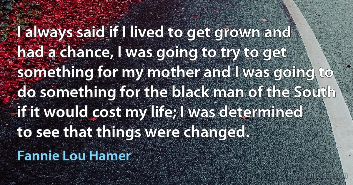 I always said if I lived to get grown and had a chance, I was going to try to get something for my mother and I was going to do something for the black man of the South if it would cost my life; I was determined to see that things were changed. (Fannie Lou Hamer)