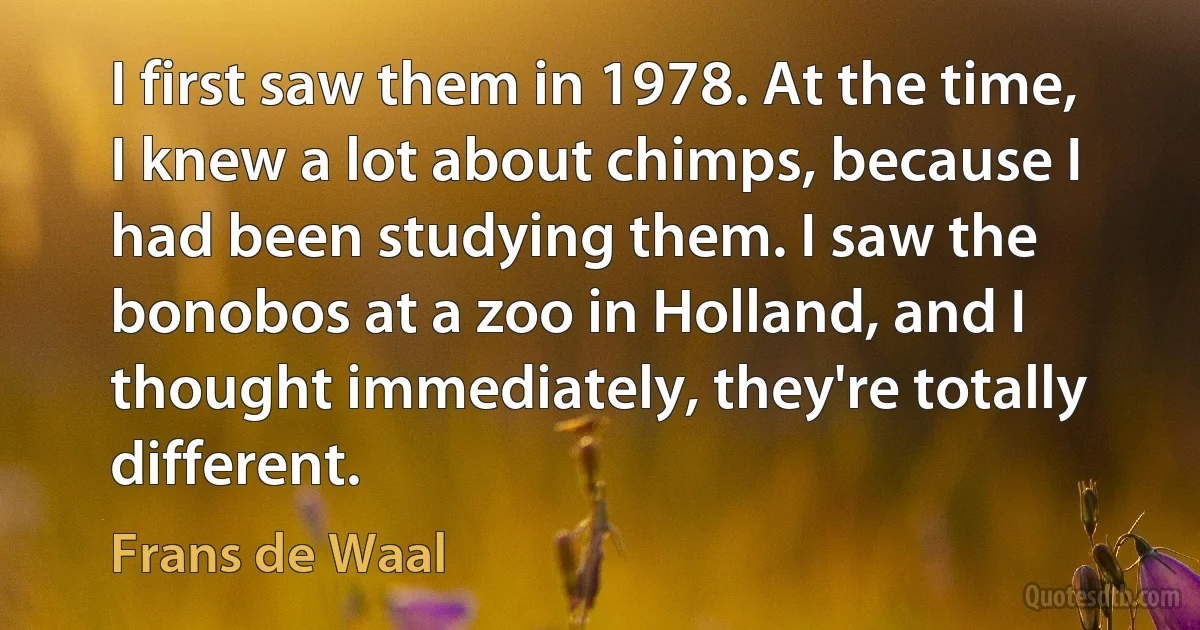 I first saw them in 1978. At the time, I knew a lot about chimps, because I had been studying them. I saw the bonobos at a zoo in Holland, and I thought immediately, they're totally different. (Frans de Waal)