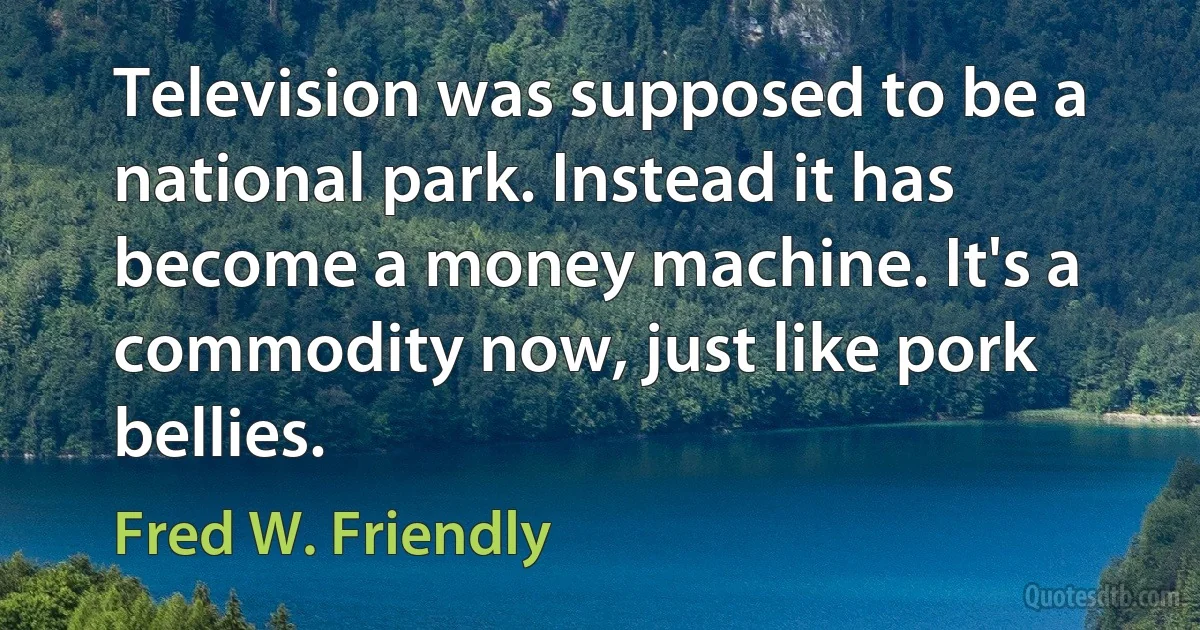 Television was supposed to be a national park. Instead it has become a money machine. It's a commodity now, just like pork bellies. (Fred W. Friendly)