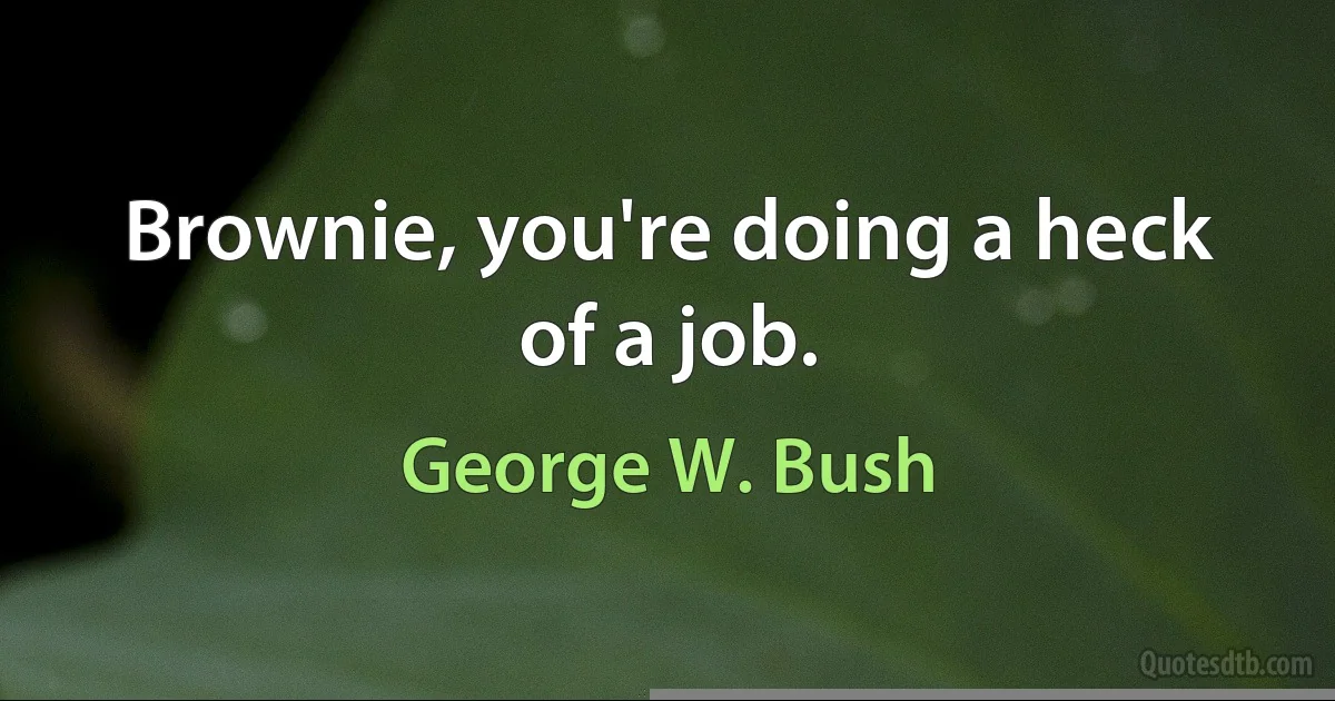 Brownie, you're doing a heck of a job. (George W. Bush)