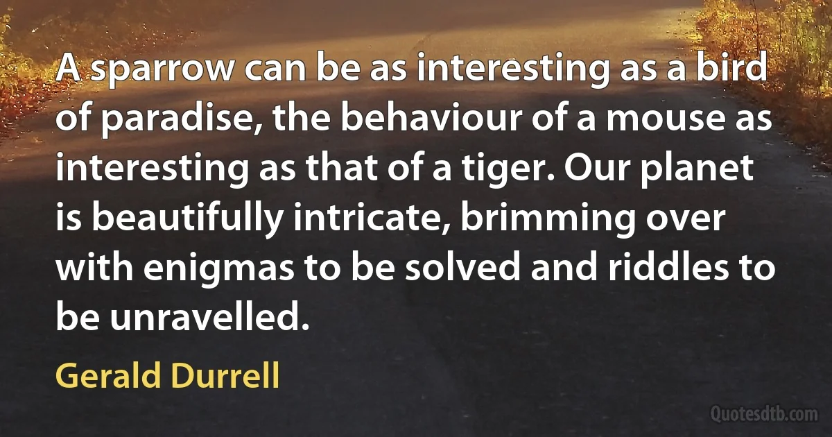 A sparrow can be as interesting as a bird of paradise, the behaviour of a mouse as interesting as that of a tiger. Our planet is beautifully intricate, brimming over with enigmas to be solved and riddles to be unravelled. (Gerald Durrell)