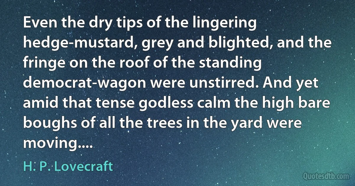 Even the dry tips of the lingering hedge-mustard, grey and blighted, and the fringe on the roof of the standing democrat-wagon were unstirred. And yet amid that tense godless calm the high bare boughs of all the trees in the yard were moving.... (H. P. Lovecraft)