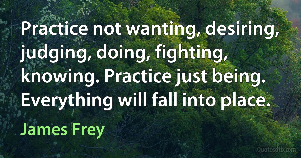 Practice not wanting, desiring, judging, doing, fighting, knowing. Practice just being. Everything will fall into place. (James Frey)