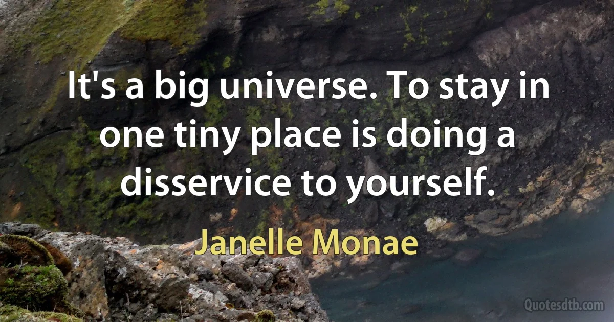 It's a big universe. To stay in one tiny place is doing a disservice to yourself. (Janelle Monae)