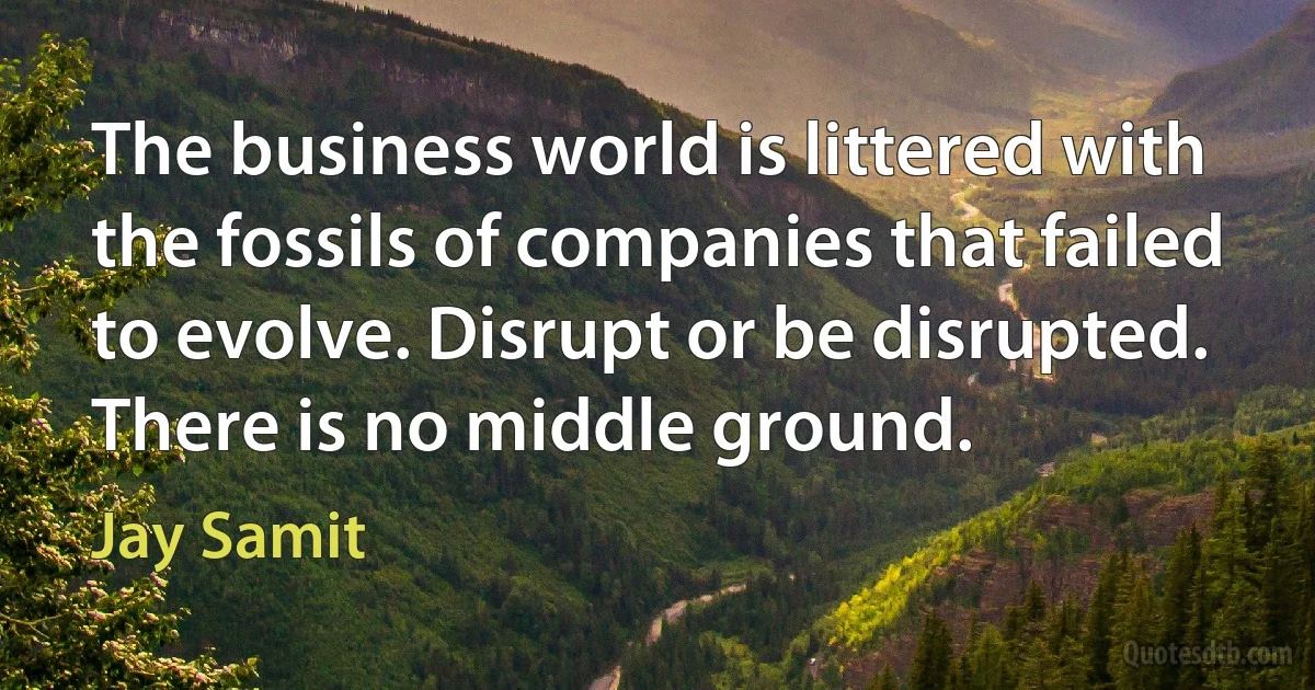 The business world is littered with the fossils of companies that failed to evolve. Disrupt or be disrupted. There is no middle ground. (Jay Samit)