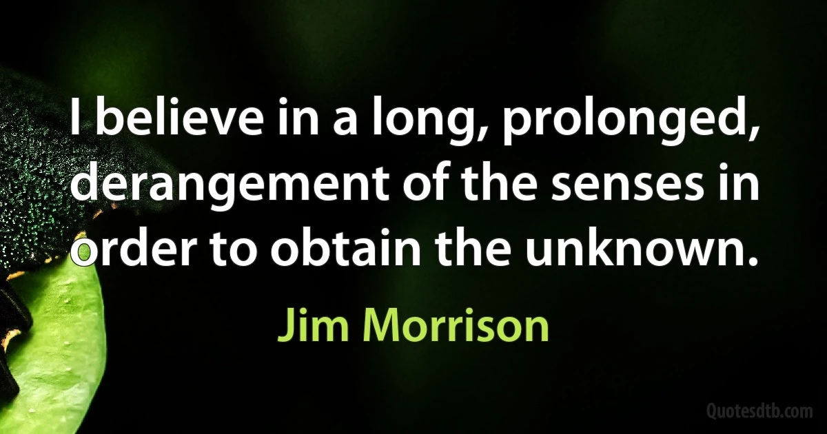 I believe in a long, prolonged, derangement of the senses in order to obtain the unknown. (Jim Morrison)