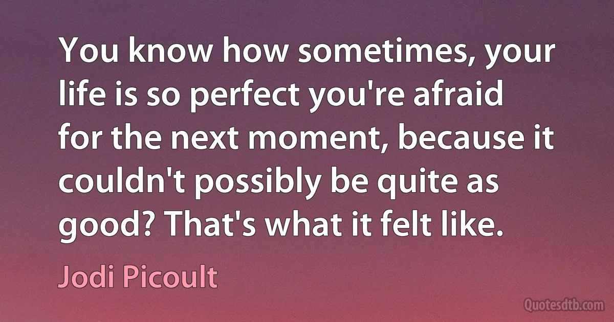 You know how sometimes, your life is so perfect you're afraid for the next moment, because it couldn't possibly be quite as good? That's what it felt like. (Jodi Picoult)