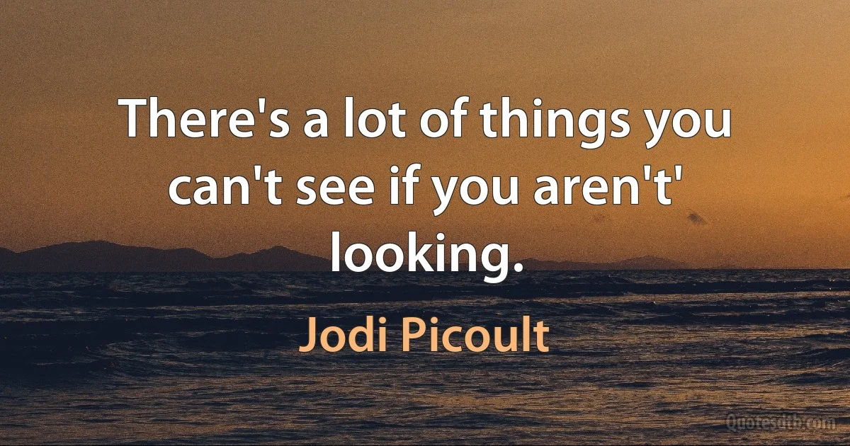 There's a lot of things you can't see if you aren't' looking. (Jodi Picoult)