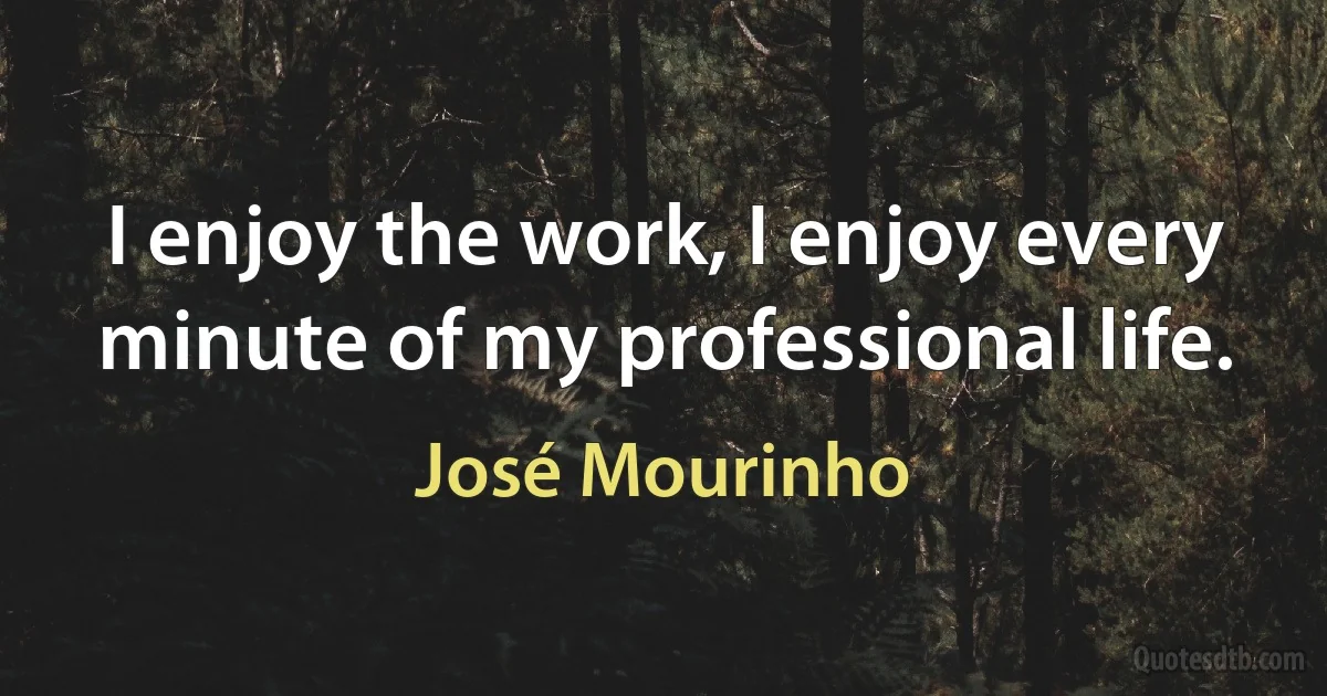 I enjoy the work, I enjoy every minute of my professional life. (José Mourinho)