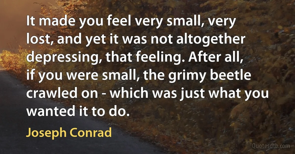 It made you feel very small, very lost, and yet it was not altogether depressing, that feeling. After all, if you were small, the grimy beetle crawled on - which was just what you wanted it to do. (Joseph Conrad)