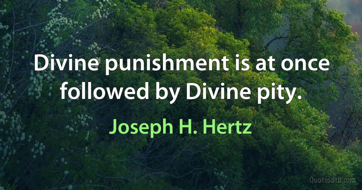 Divine punishment is at once followed by Divine pity. (Joseph H. Hertz)