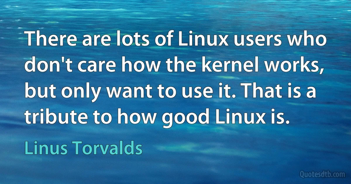 There are lots of Linux users who don't care how the kernel works, but only want to use it. That is a tribute to how good Linux is. (Linus Torvalds)