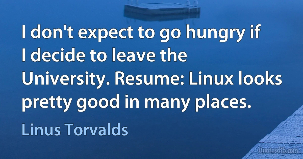 I don't expect to go hungry if I decide to leave the University. Resume: Linux looks pretty good in many places. (Linus Torvalds)