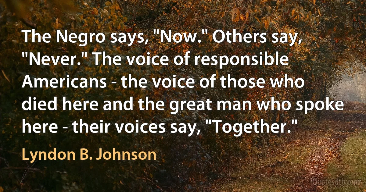 The Negro says, "Now." Others say, "Never." The voice of responsible Americans - the voice of those who died here and the great man who spoke here - their voices say, "Together." (Lyndon B. Johnson)