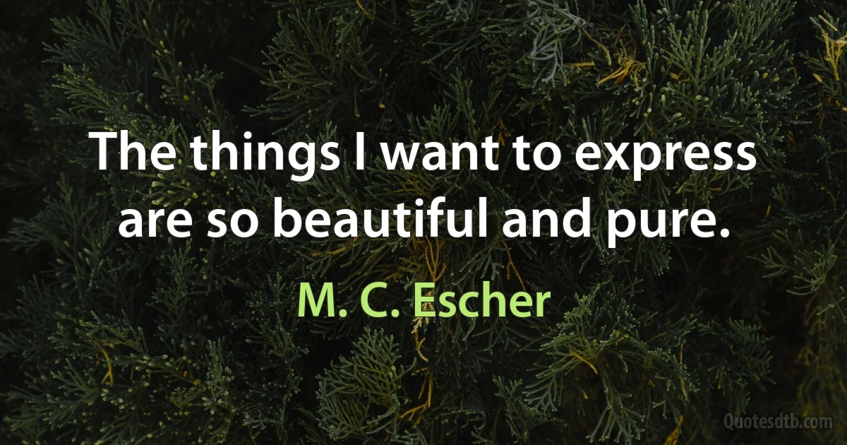 The things I want to express are so beautiful and pure. (M. C. Escher)