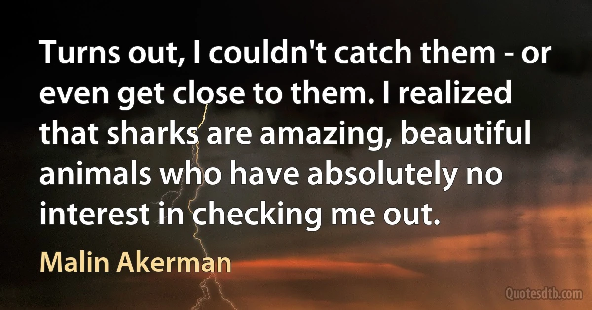 Turns out, I couldn't catch them - or even get close to them. I realized that sharks are amazing, beautiful animals who have absolutely no interest in checking me out. (Malin Akerman)