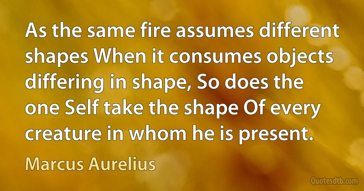 As the same fire assumes different shapes When it consumes objects differing in shape, So does the one Self take the shape Of every creature in whom he is present. (Marcus Aurelius)