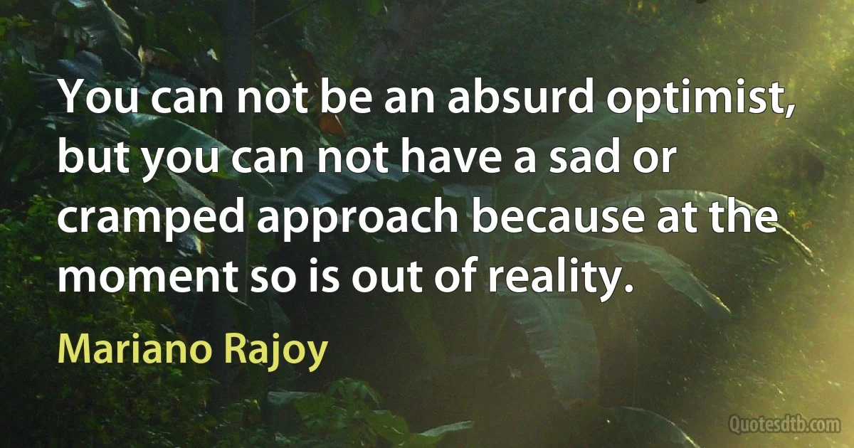 You can not be an absurd optimist, but you can not have a sad or cramped approach because at the moment so is out of reality. (Mariano Rajoy)