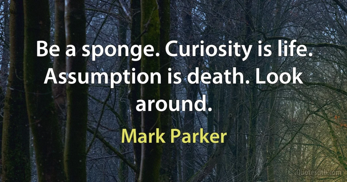 Be a sponge. Curiosity is life. Assumption is death. Look around. (Mark Parker)