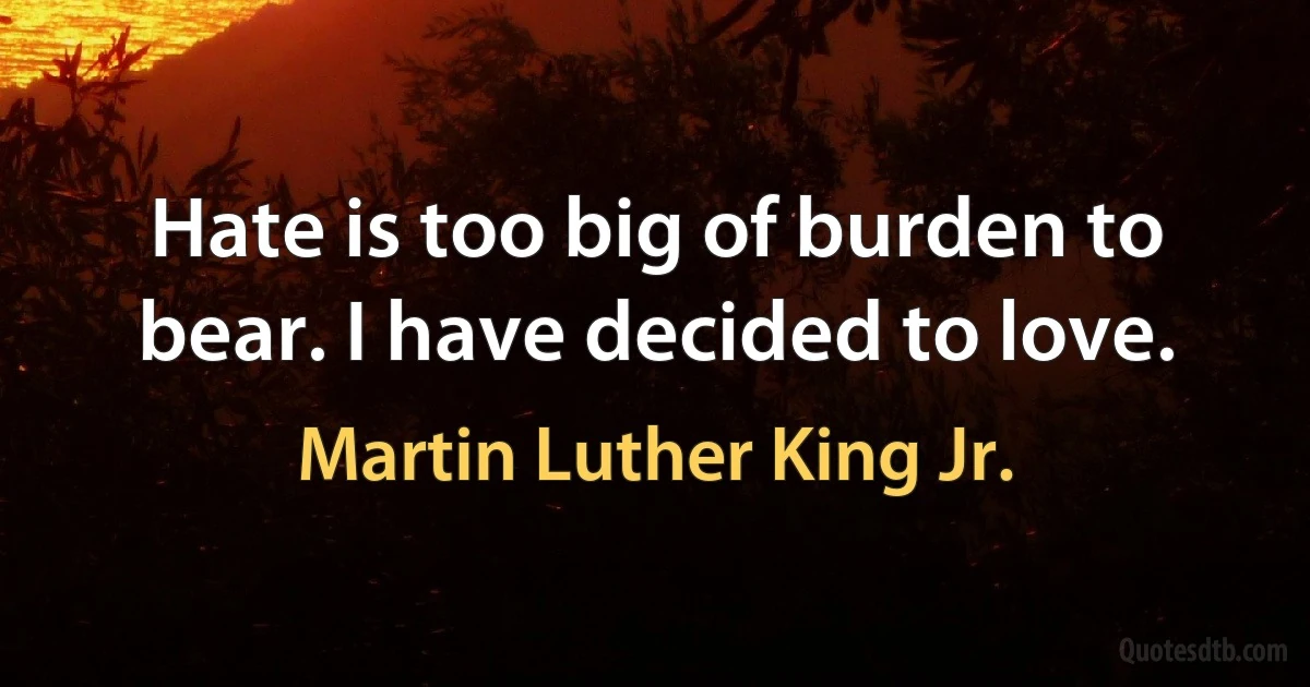 Hate is too big of burden to bear. I have decided to love. (Martin Luther King Jr.)