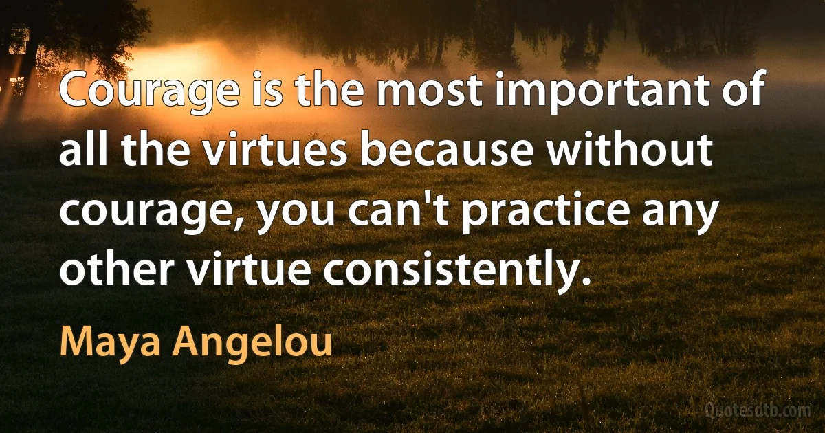 Courage is the most important of all the virtues because without courage, you can't practice any other virtue consistently. (Maya Angelou)