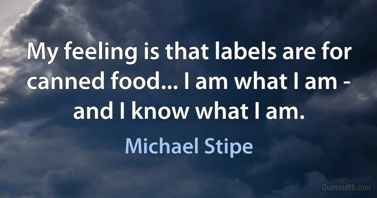 My feeling is that labels are for canned food... I am what I am - and I know what I am. (Michael Stipe)