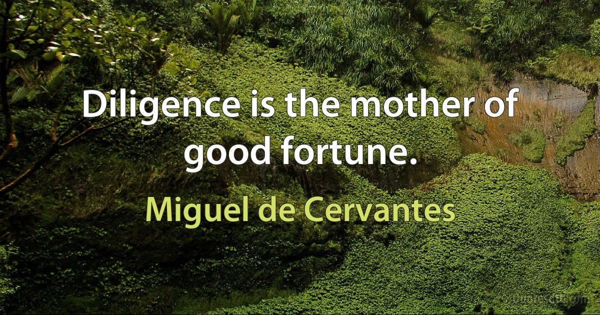 Diligence is the mother of good fortune. (Miguel de Cervantes)