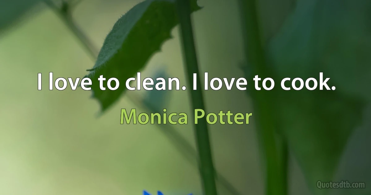 I love to clean. I love to cook. (Monica Potter)