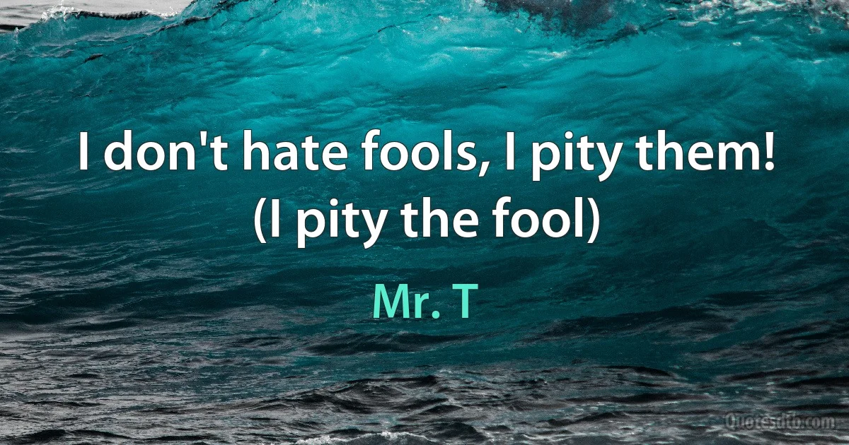 I don't hate fools, I pity them! (I pity the fool) (Mr. T)