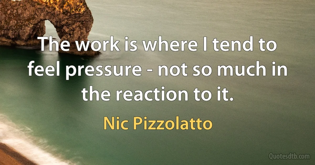 The work is where I tend to feel pressure - not so much in the reaction to it. (Nic Pizzolatto)