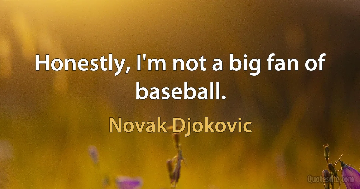 Honestly, I'm not a big fan of baseball. (Novak Djokovic)