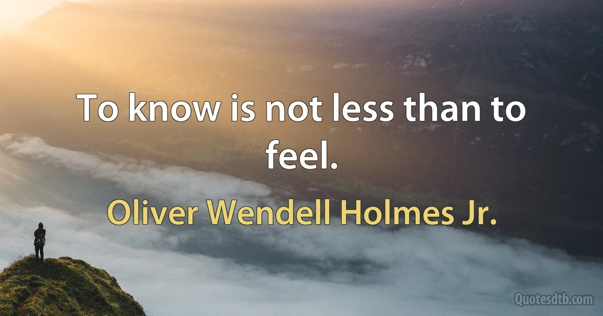 To know is not less than to feel. (Oliver Wendell Holmes Jr.)