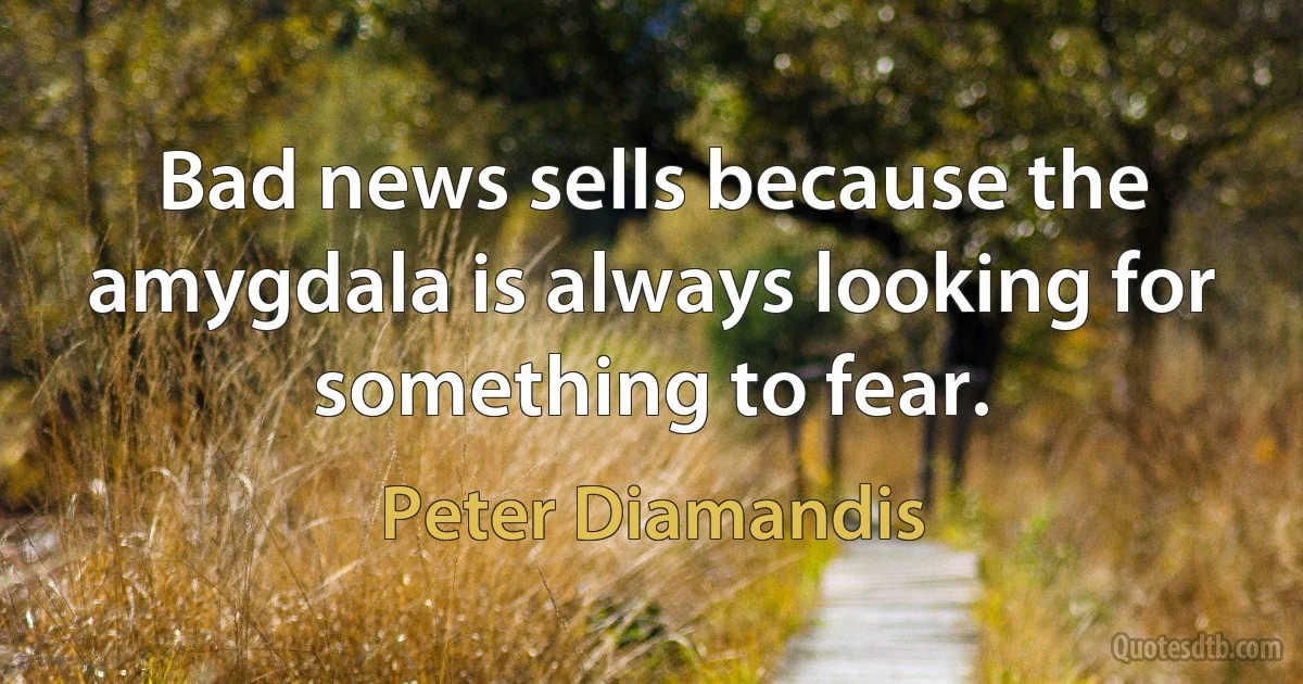 Bad news sells because the amygdala is always looking for something to fear. (Peter Diamandis)