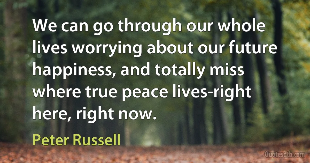 We can go through our whole lives worrying about our future happiness, and totally miss where true peace lives-right here, right now. (Peter Russell)