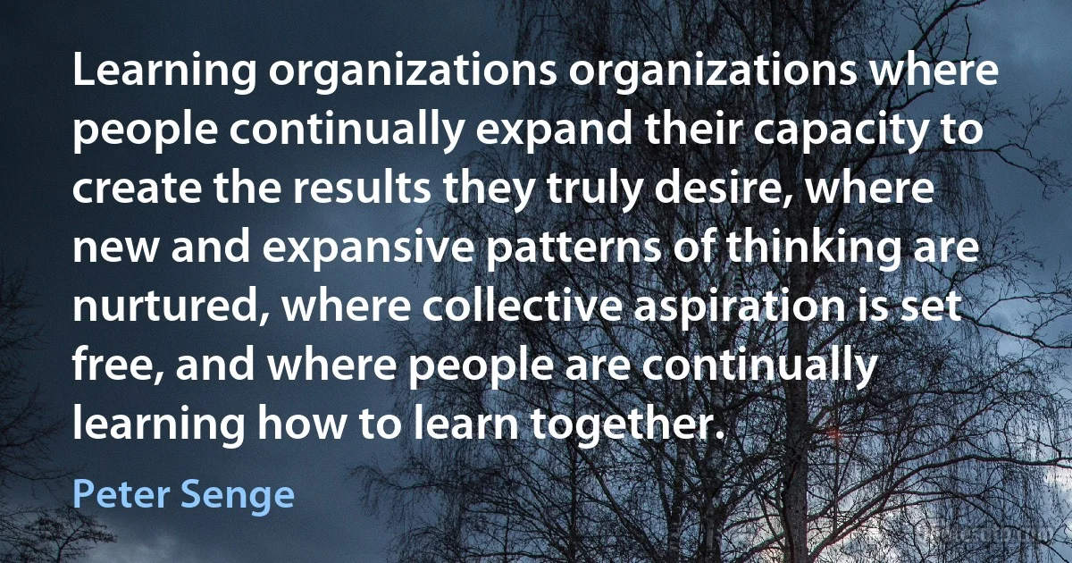 Learning organizations organizations where people continually expand their capacity to create the results they truly desire, where new and expansive patterns of thinking are nurtured, where collective aspiration is set free, and where people are continually learning how to learn together. (Peter Senge)