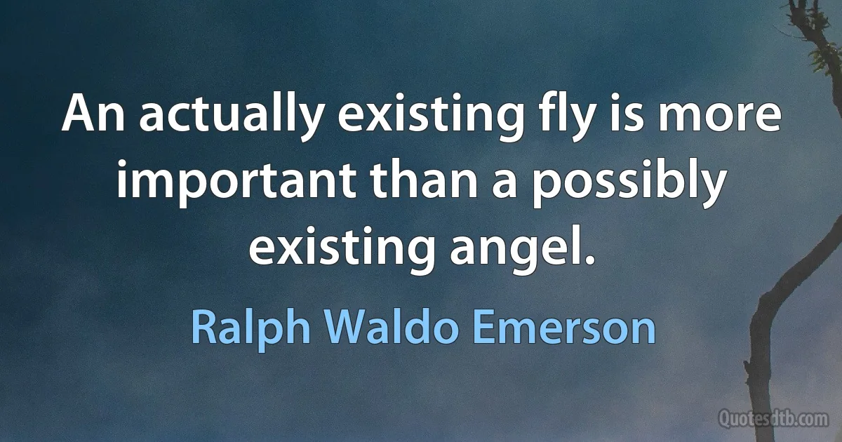 An actually existing fly is more important than a possibly existing angel. (Ralph Waldo Emerson)