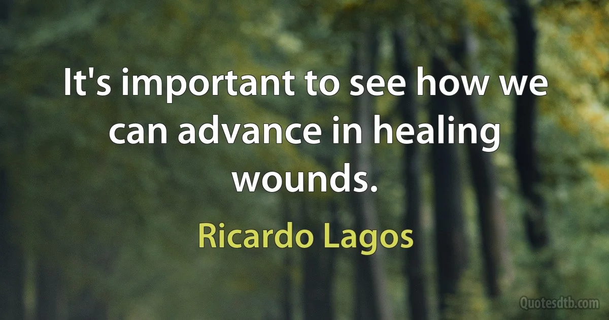 It's important to see how we can advance in healing wounds. (Ricardo Lagos)