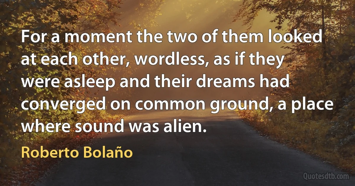 For a moment the two of them looked at each other, wordless, as if they were asleep and their dreams had converged on common ground, a place where sound was alien. (Roberto Bolaño)