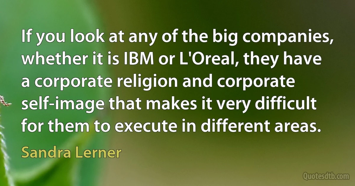 If you look at any of the big companies, whether it is IBM or L'Oreal, they have a corporate religion and corporate self-image that makes it very difficult for them to execute in different areas. (Sandra Lerner)