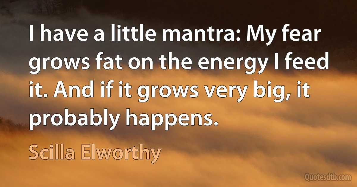 I have a little mantra: My fear grows fat on the energy I feed it. And if it grows very big, it probably happens. (Scilla Elworthy)