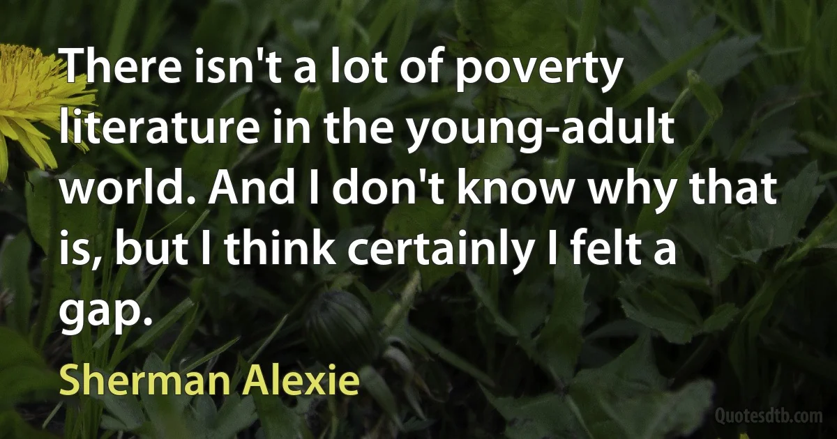 There isn't a lot of poverty literature in the young-adult world. And I don't know why that is, but I think certainly I felt a gap. (Sherman Alexie)