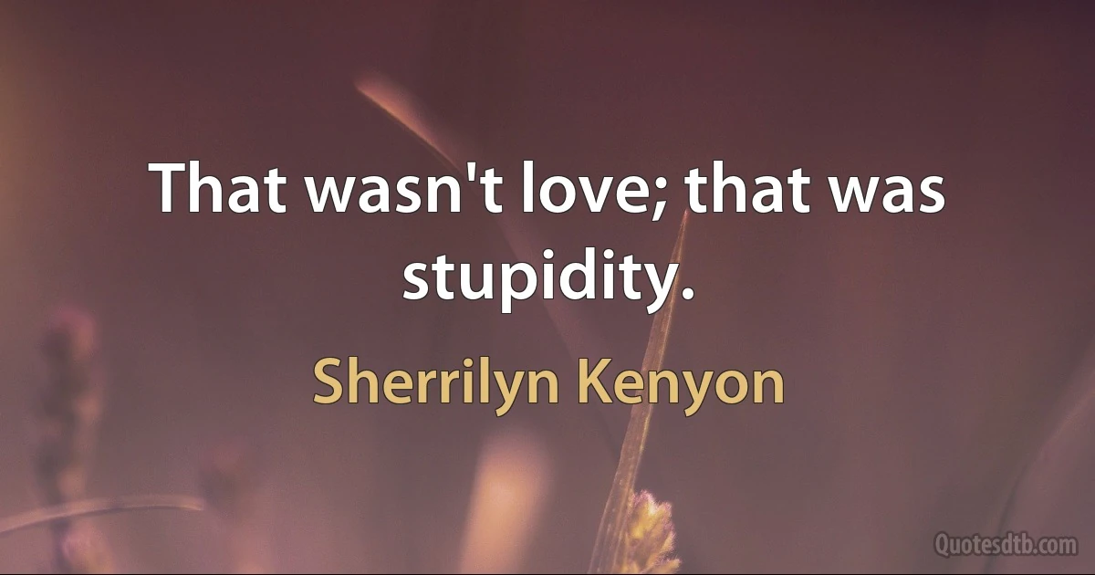 That wasn't love; that was stupidity. (Sherrilyn Kenyon)