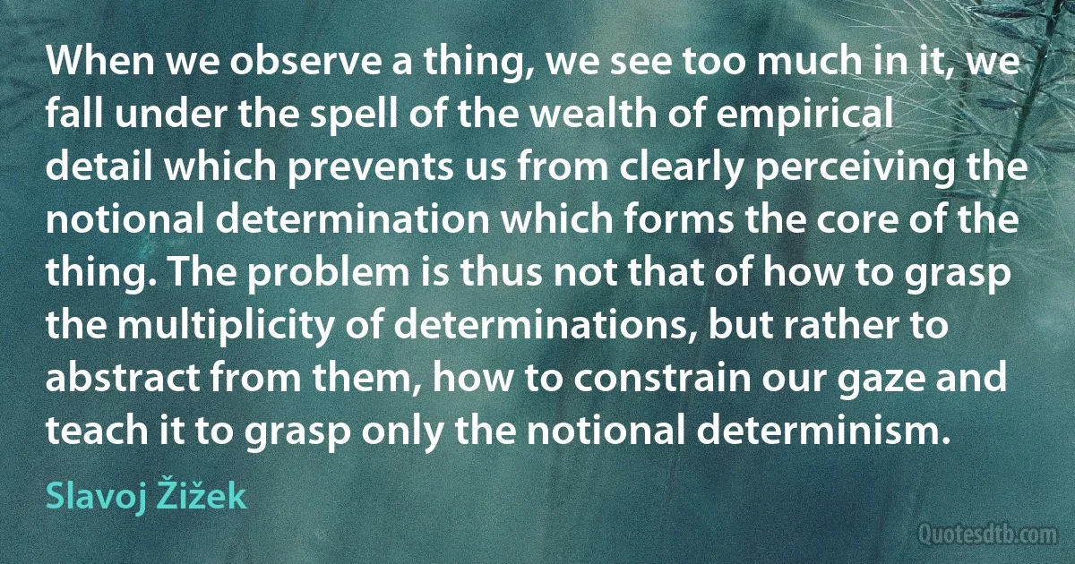 When we observe a thing, we see too much in it, we fall under the spell of the wealth of empirical detail which prevents us from clearly perceiving the notional determination which forms the core of the thing. The problem is thus not that of how to grasp the multiplicity of determinations, but rather to abstract from them, how to constrain our gaze and teach it to grasp only the notional determinism. (Slavoj Žižek)