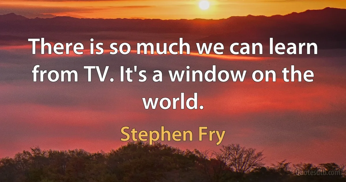 There is so much we can learn from TV. It's a window on the world. (Stephen Fry)