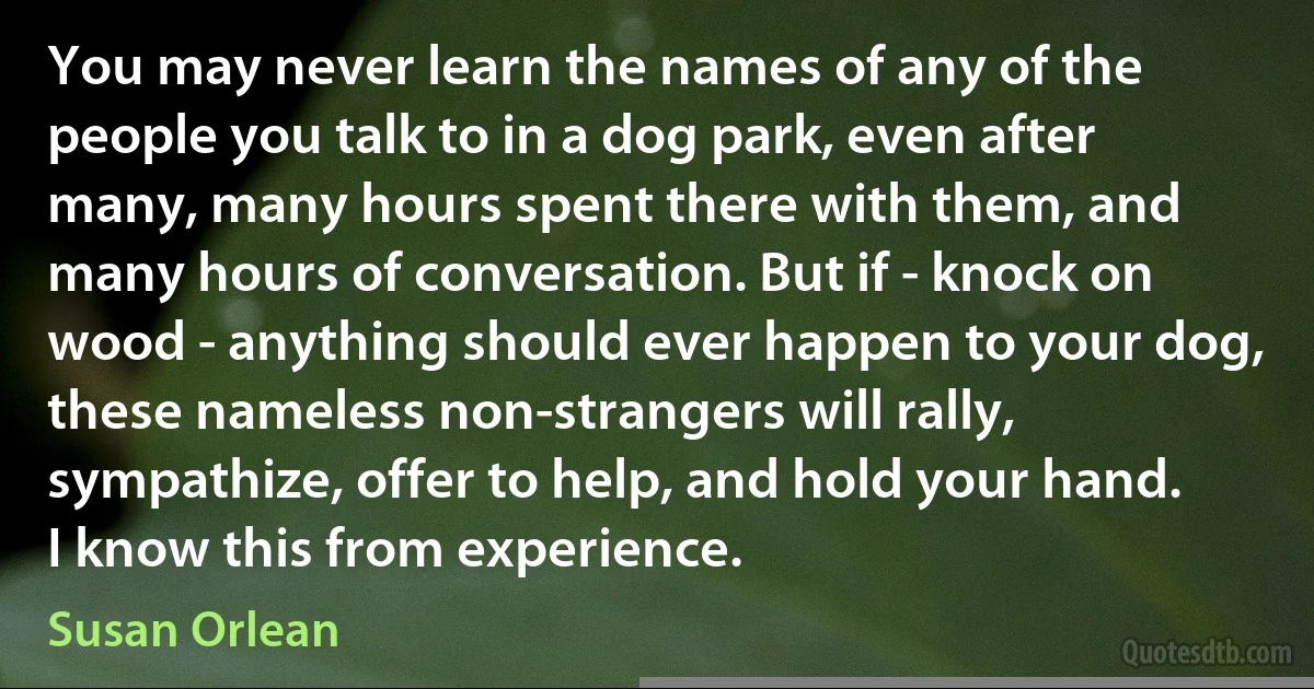 You may never learn the names of any of the people you talk to in a dog park, even after many, many hours spent there with them, and many hours of conversation. But if - knock on wood - anything should ever happen to your dog, these nameless non-strangers will rally, sympathize, offer to help, and hold your hand. I know this from experience. (Susan Orlean)